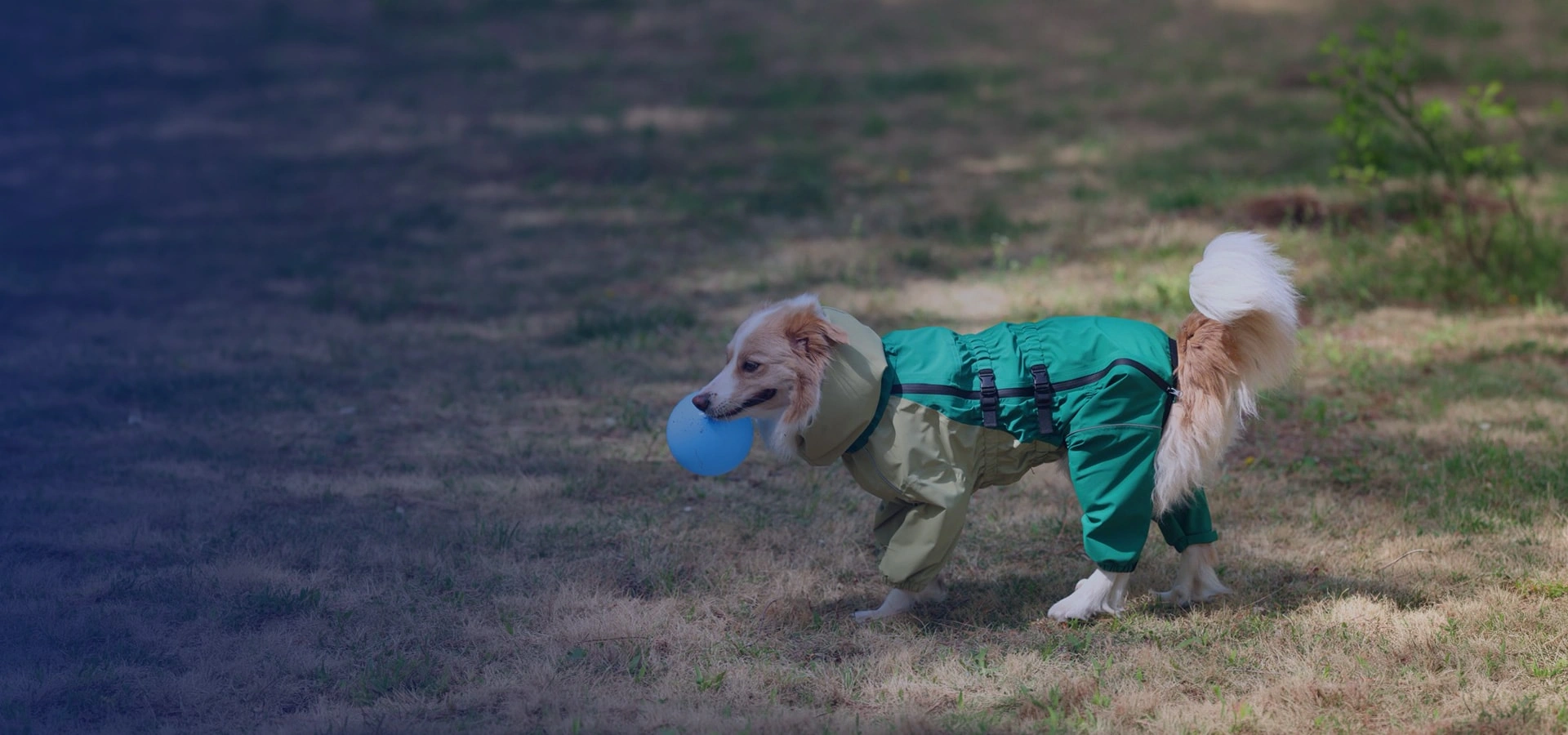 respect for every worker